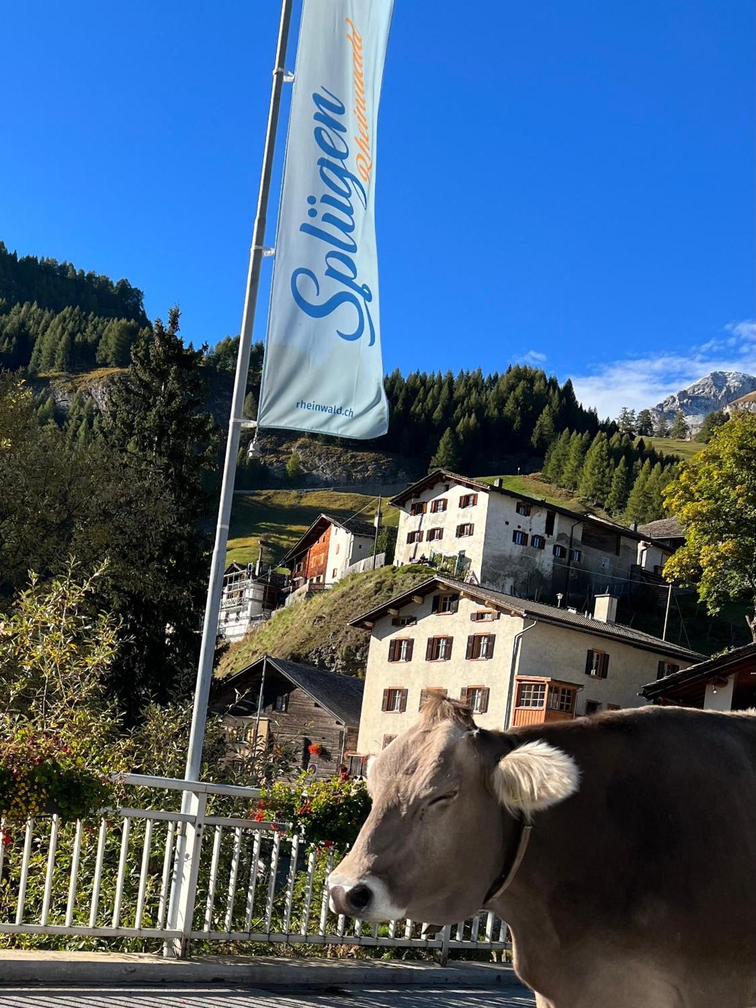 Hotel Piz Tambo Splügen Extérieur photo