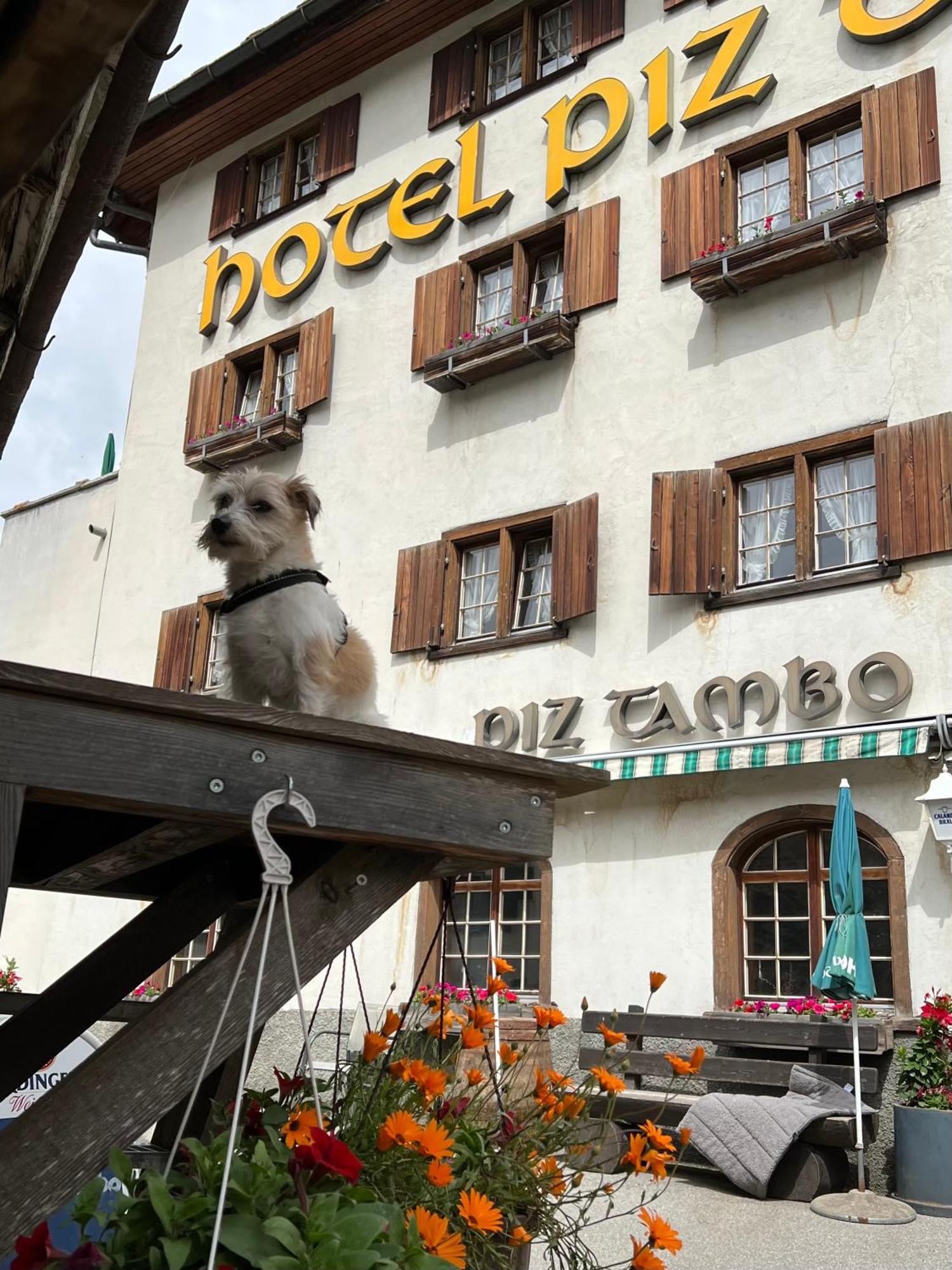 Hotel Piz Tambo Splügen Extérieur photo