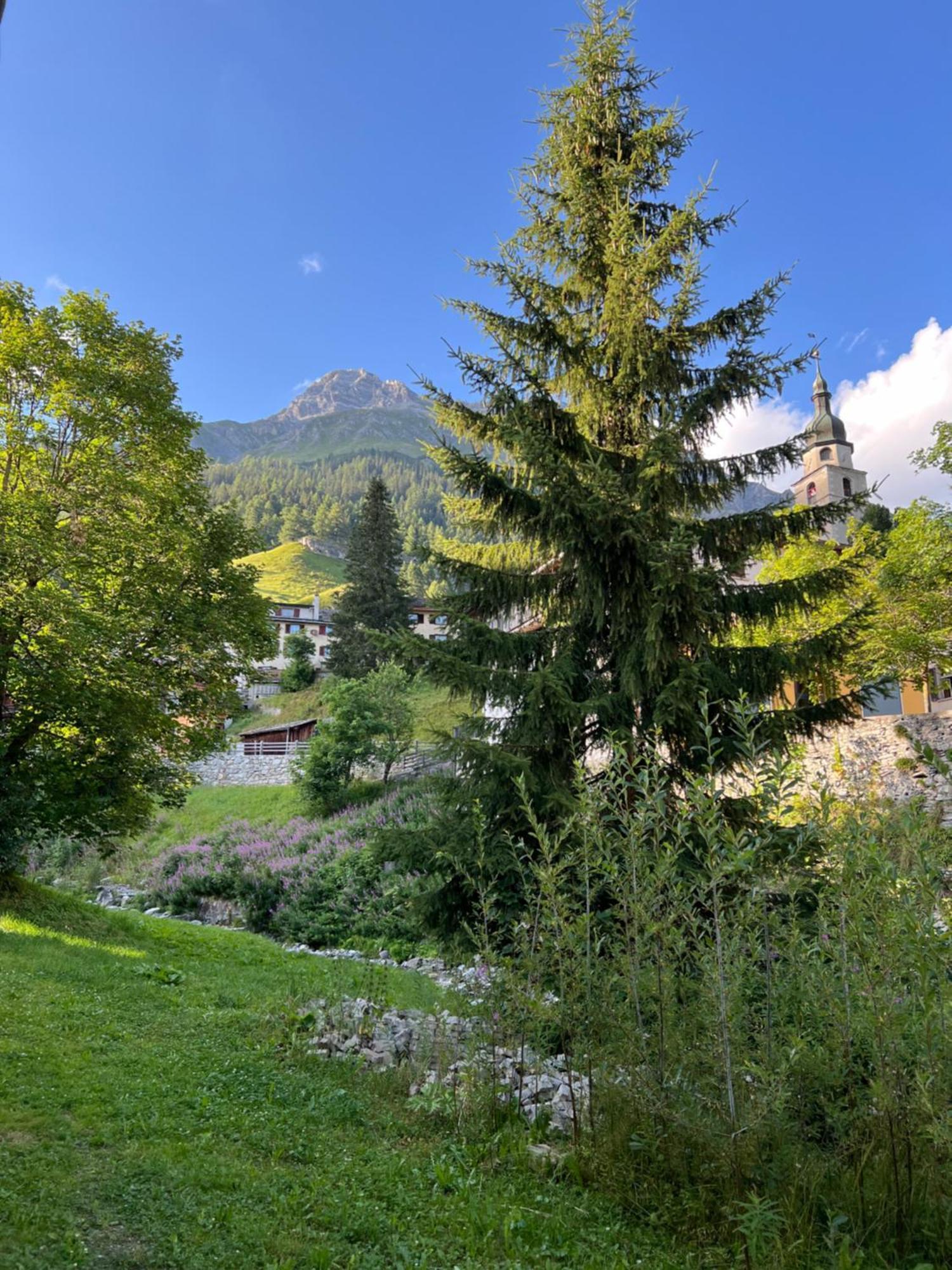 Hotel Piz Tambo Splügen Extérieur photo